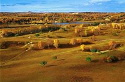 赤峰山地養(yǎng)豬場(chǎng)地址電話號(hào)碼