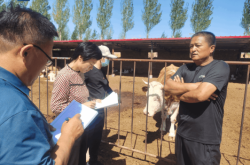 赤峰鐵南送水電話號(hào)碼查詢