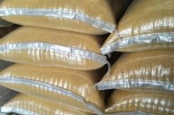 赤峰圓棗子苗供應(yīng)商電話號(hào)碼