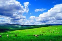 赤峰烏丹泉水廠地址電話號(hào)碼