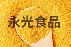 赤峰賣馬電話是多少錢的