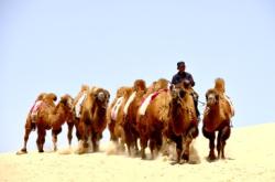 赤峰善水軒洗浴電話號碼查詢