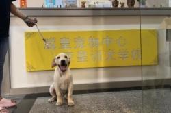 赤峰訓(xùn)犬培訓(xùn)學(xué)校電話號(hào)碼查詢