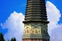 赤峰唯藝寵物店地址電話號碼