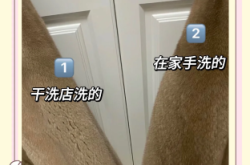 赤峰皮草干洗店電話號碼多少