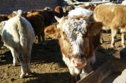 赤峰有賣便利貼的嗎電話號碼