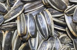 赤峰橋北干果店電話號(hào)碼查詢