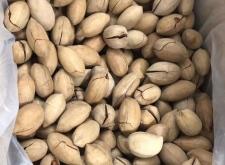 赤峰碧根果廠家聯(lián)系電話號碼