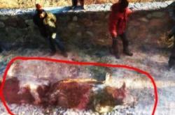 赤峰到葉柏壽拼車電話號(hào)碼