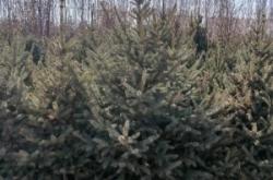 赤峰紅廟子衛(wèi)生院的電話號(hào)碼