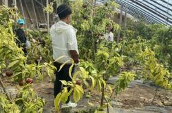 赤峰親嘴調(diào)酒師電話號(hào)碼查詢