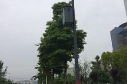 赤峰天網(wǎng)電子科技招聘電話號碼