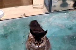 赤峰嗨堡樂園電話號(hào)碼多少號(hào)