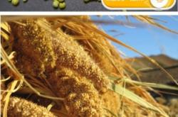 赤峰靚點(diǎn)特產(chǎn)超市地址電話號(hào)碼