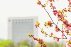 赤峰新威商貿(mào)公司地址電話號碼