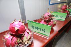 赤峰綠禾小米專賣店電話號(hào)碼