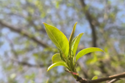 赤峰寧城美容院電話號(hào)碼多少