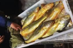 赤峰賣大黃魚的電話地址是多少