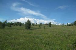 赤峰艾禾變速箱維修電話號碼