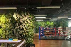 赤峰工作室招人電話號碼是多少