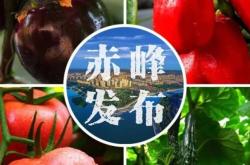 赤峰西烏旗羔羊肉店電話號碼