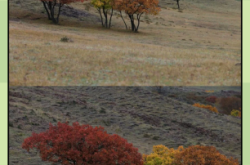 赤峰拍照片地方推薦電話是多少