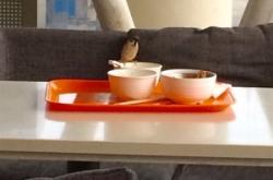 赤峰洗碗公司電話多少號碼