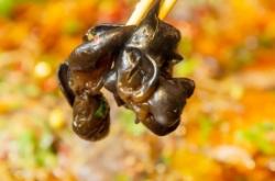 赤峰曉楓燒烤電話號(hào)碼查詢