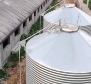 赤峰散養(yǎng)豬豬場(chǎng)地址電話號(hào)碼