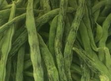 赤峰牛頭肉批發(fā)電話號碼查詢