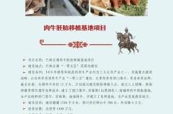 赤峰肉牛廠家電話多少號碼