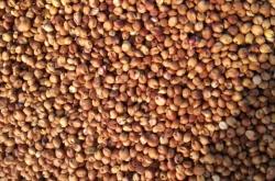 赤峰市敖漢旗養(yǎng)雞場(chǎng)電話號(hào)碼