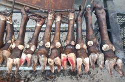 赤峰牛蹄子熟食店地址電話號碼