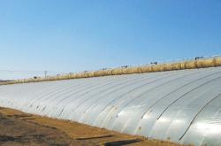 赤峰大棚塑料膜廠家電話號碼