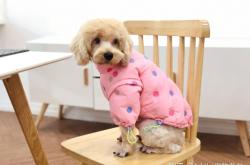 赤峰市寵物用品推薦電話號(hào)碼