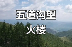 赤峰五道街烏鴉店電話號碼