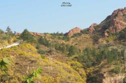 赤峰到克什克騰客車電話號碼