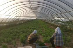 赤峰市如意家園電話號碼查詢