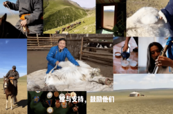 赤峰養(yǎng)羊直銷電話多少號(hào)碼