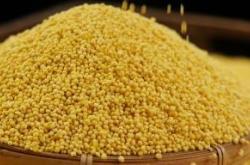 赤峰收購(gòu)苜蓿草的公司電話號(hào)碼