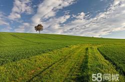赤峰林西直播水果店電話號(hào)碼