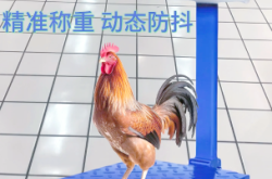 赤峰商用電子秤維修電話號(hào)碼