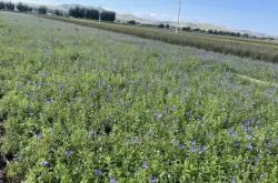 赤峰至牛營(yíng)子物流電話號(hào)碼