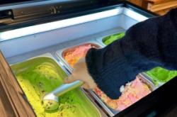 赤峰兄弟自助餐電話號碼查詢