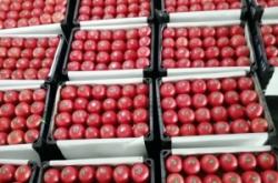 赤峰二道街水果超市電話號碼