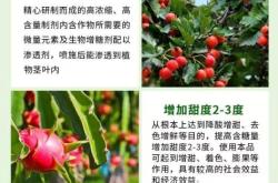 赤峰草莓增甜劑廠家電話號碼