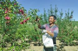 赤峰市子午線歌廳電話號(hào)碼