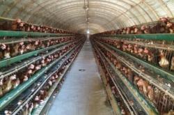 赤峰龍耀有限責(zé)任公司電話號(hào)碼