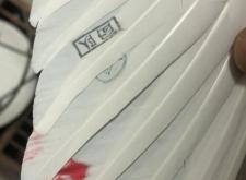 赤峰市春輝鴿舍地址電話號碼