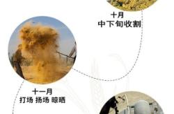 赤峰酸菜食品廠電話號(hào)碼查詢